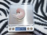 Весы для взвещивания новорожденных щенков (точность 0,01 гр до 500 гр)