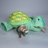 Черепаха - домик-игрушка, Marshall